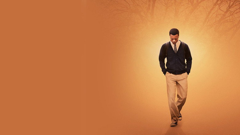 Blackbird still 4