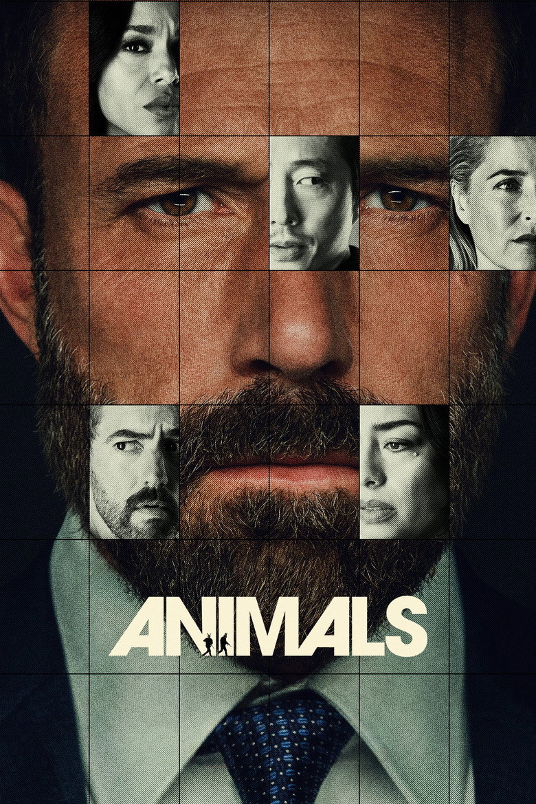 Animals poster