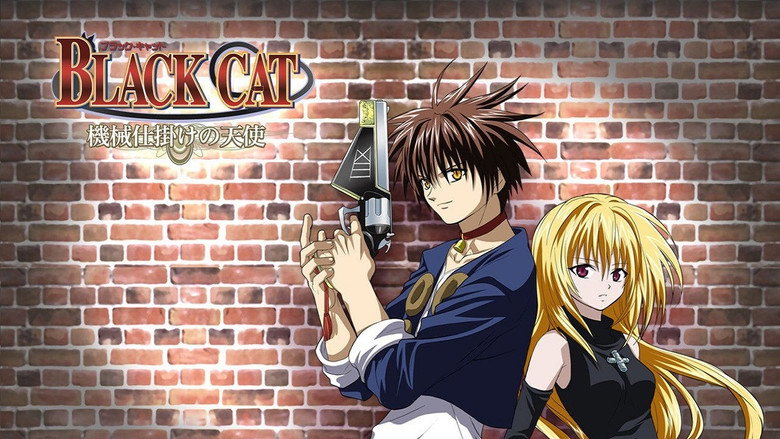 Black Cat still 5