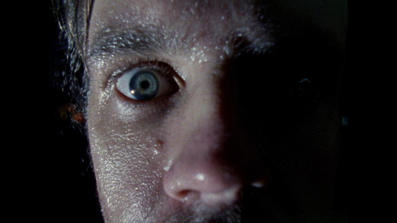 Habit still 1