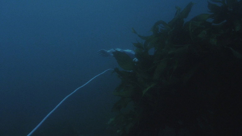Mermaid Legend still 2