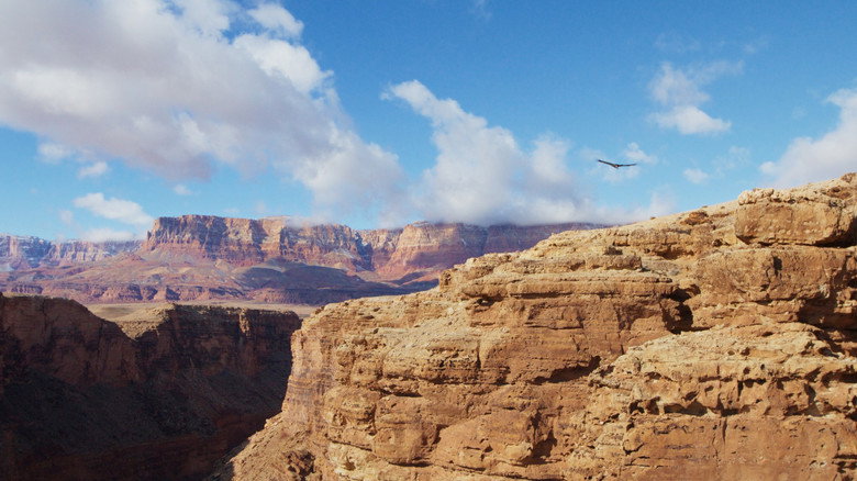The American Southwest still 2