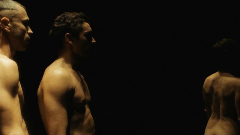 Des Paradis still 1