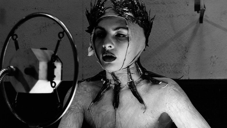 The Nine Lives of Tomas Katz still 3