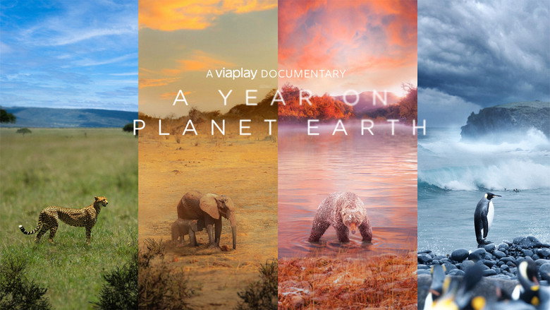 A Year on Planet Earth still 3