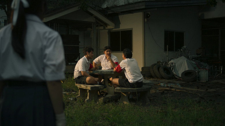Colombe still 1