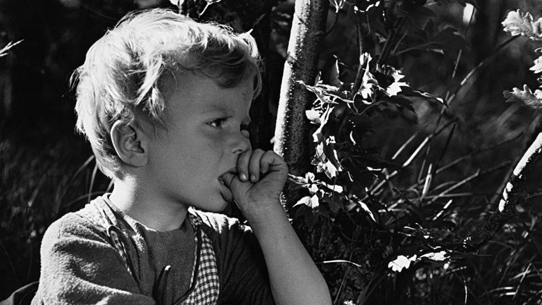 Don't Cry, Peter still 5
