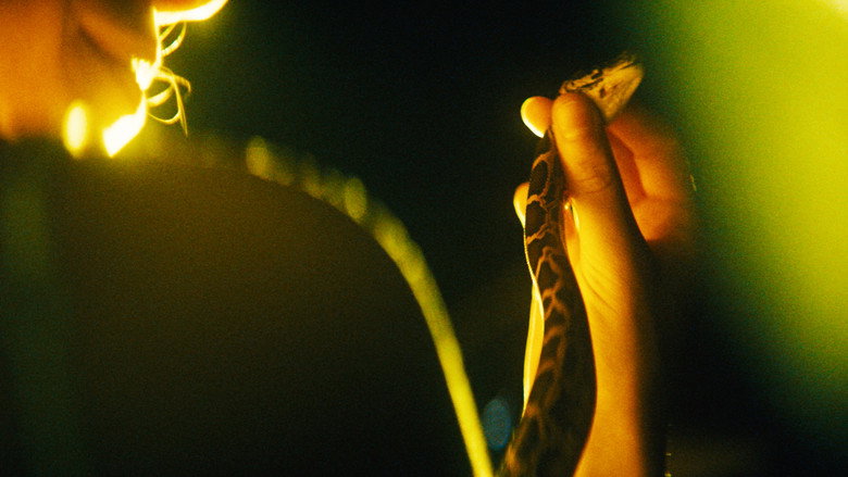 The Python Hunt still 5