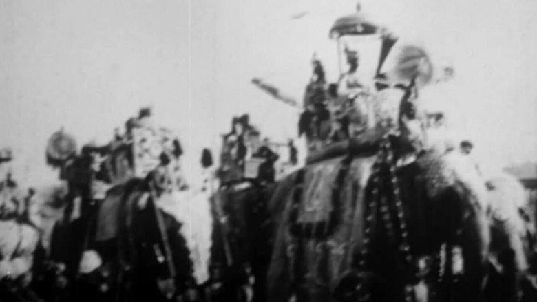 Procession of Elephants with Howdahs - India still 1