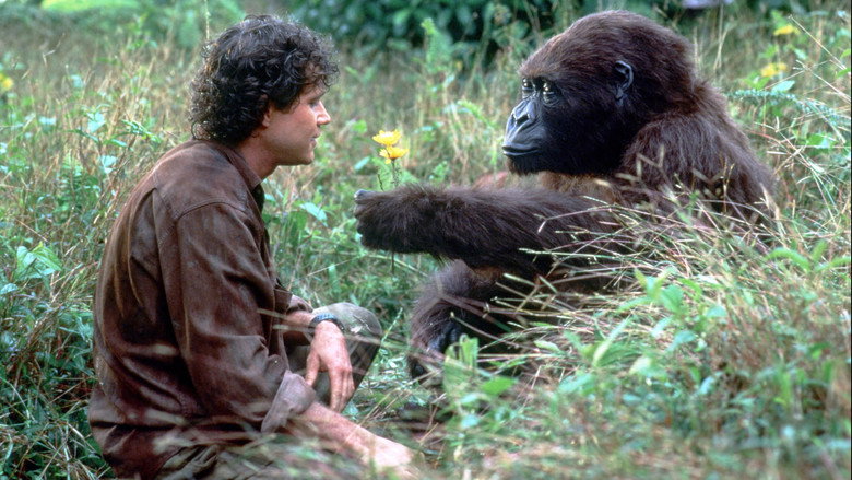 Congo still 6