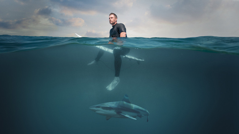 Shark Beach with Chris Hemsworth still 1