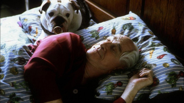 Mr. Magoo still 4