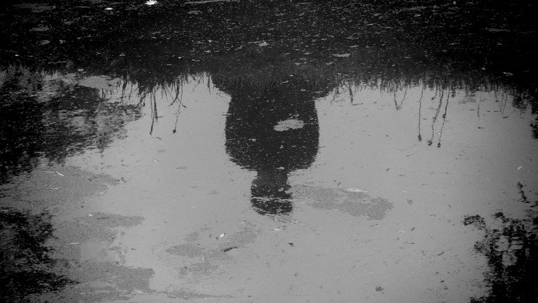 Narcissus still 1