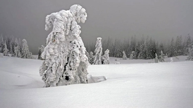 White Winter still 3