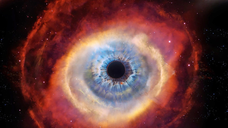 Cosmos still 4