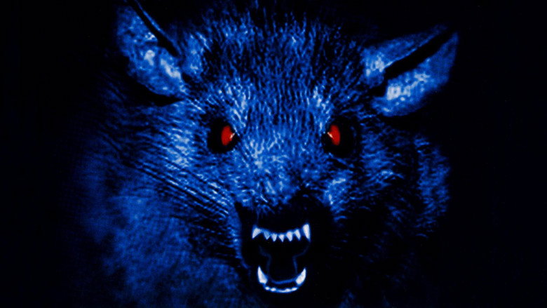 The Rats still 3