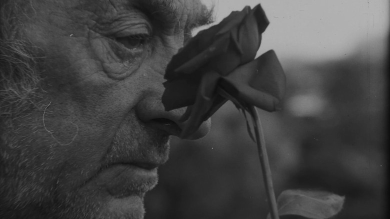 An Old Man's Tear still 2
