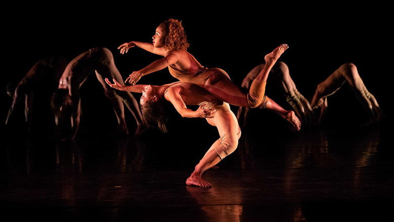Pilobolus still 1