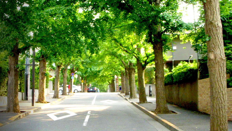 Zeroing In: Carbon Neutral 2050 still 2