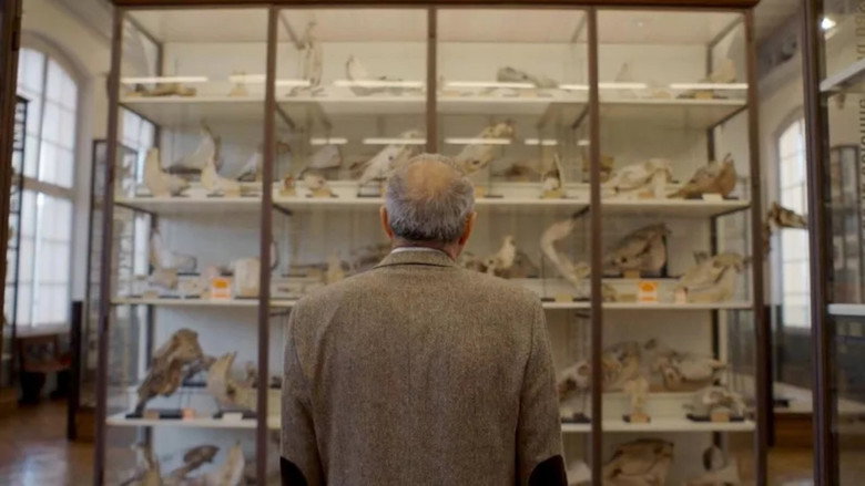 Covid, le secret des origines still 5