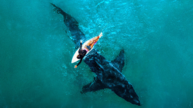 Shark Week still 4
