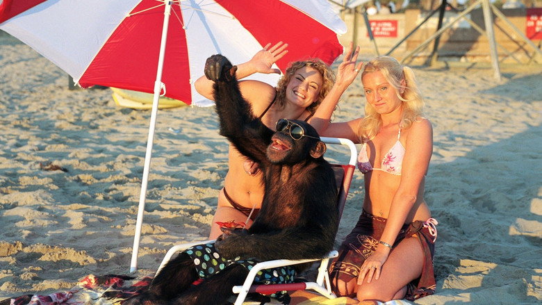 Funky Monkey still 6