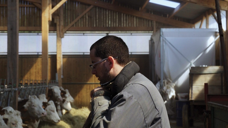 Cyrille still 2