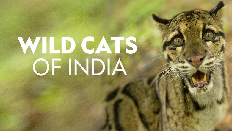 Wild Cats of India still 4