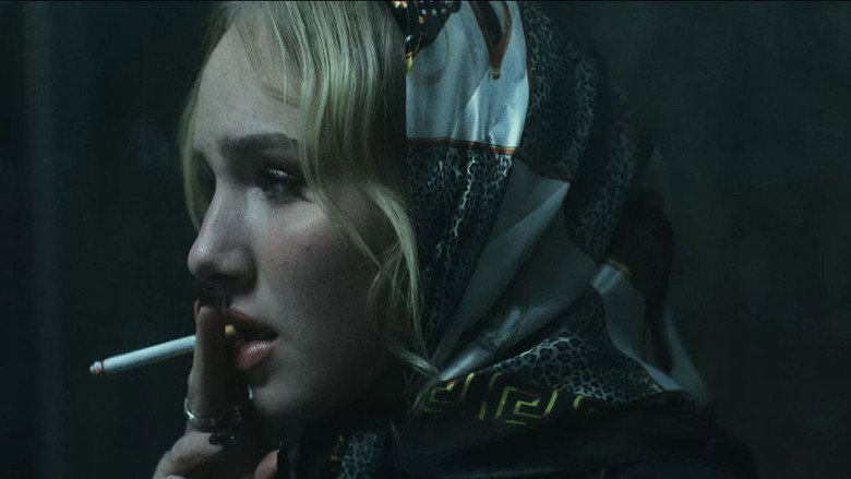 Sugar still 1