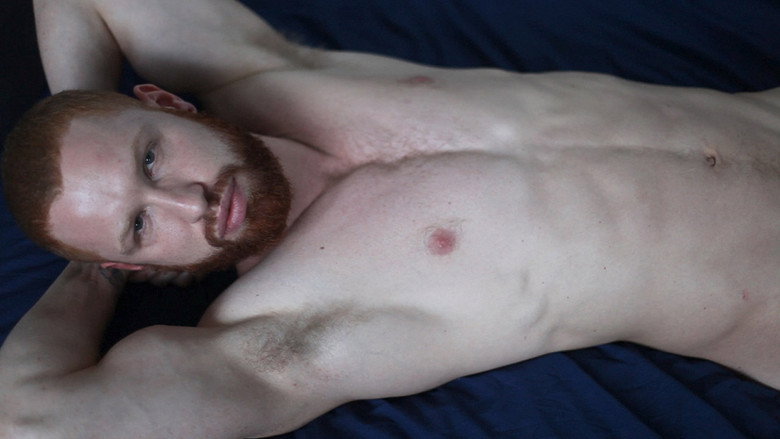 Gingers still 3