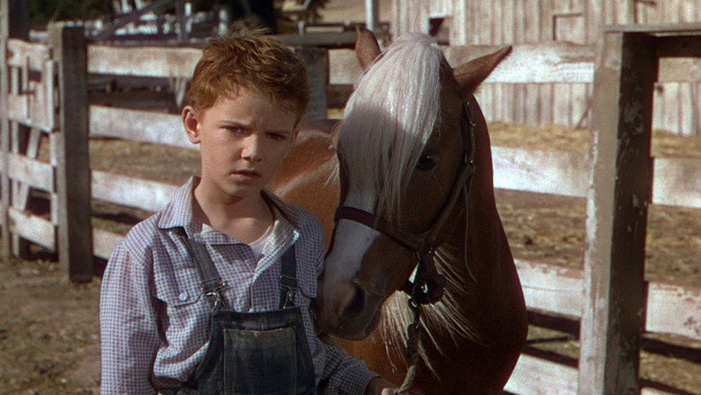 The Red Pony still 8