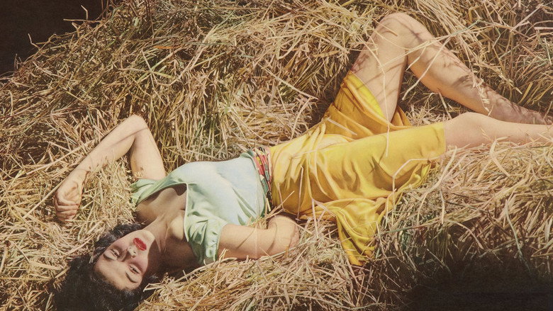 The Outlaw still 2
