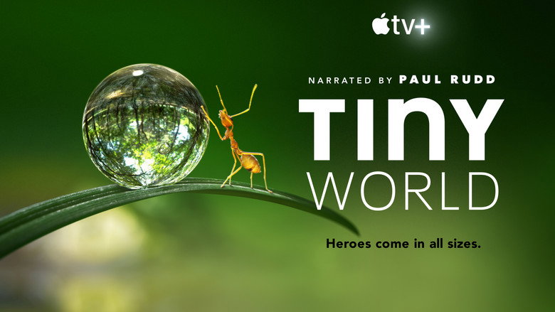 Tiny World still 8