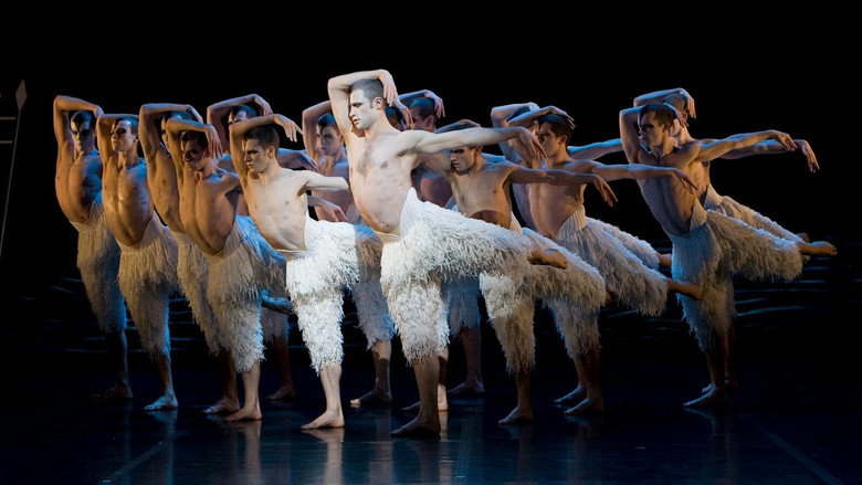 Swan Lake still 2