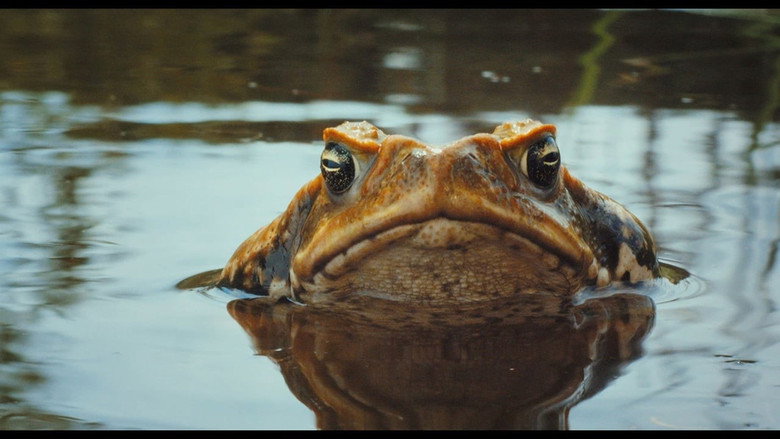 Cane Toads: The Conquest still 1