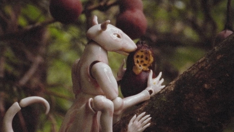 Winter In The Rainforest still 1
