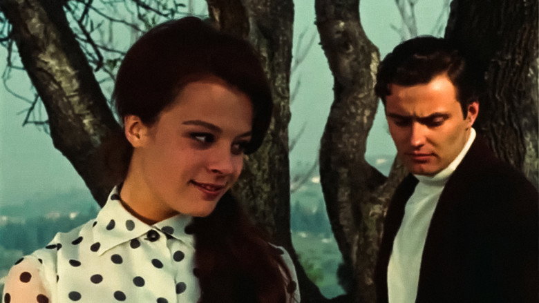 Sigh still 5