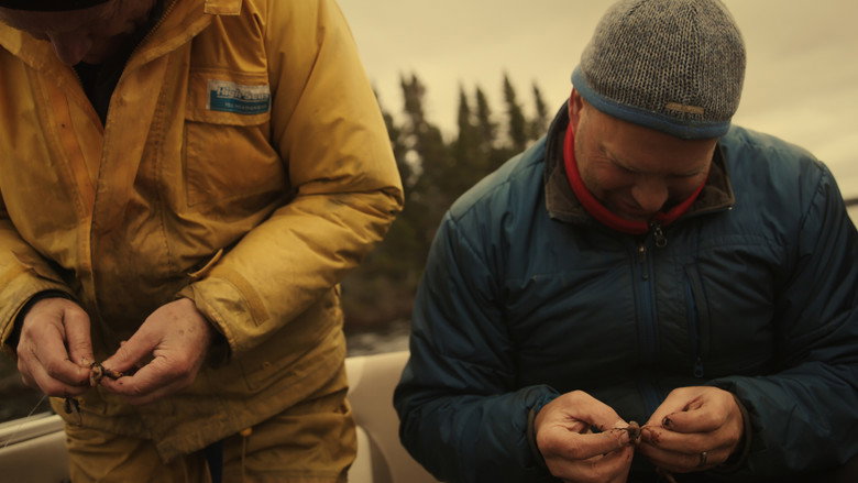 Beneath the Surface still 3
