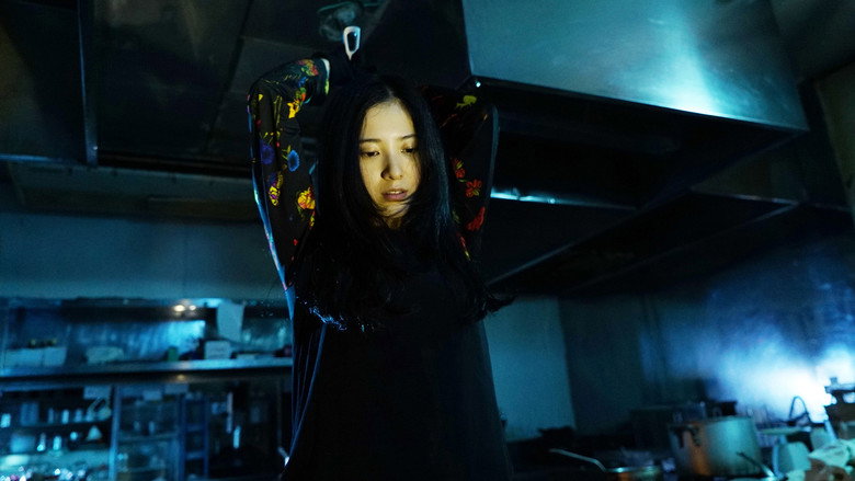 Yurigokoro still 1