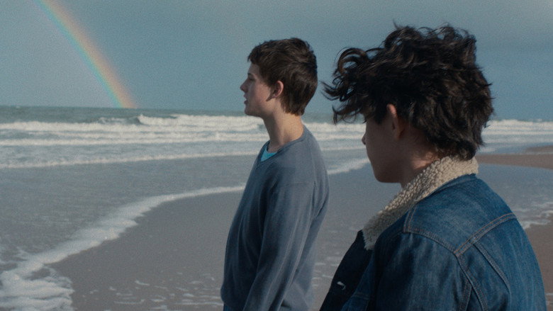 Sublime still 2