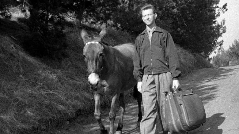 Francis Goes to the Races still 5