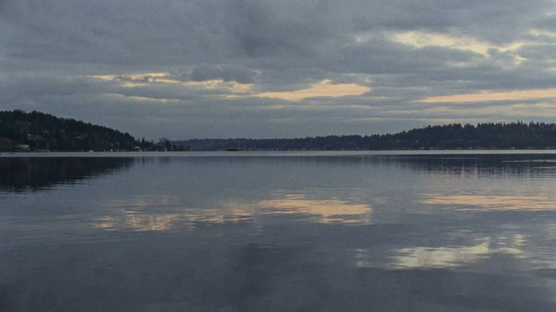 Lake Forest Park still 3