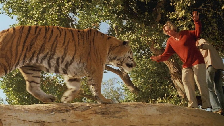 Roar still 5