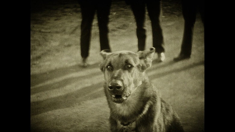 Wonder Dogs! Canine Stars of the Silent Era (1898-1928) still 5