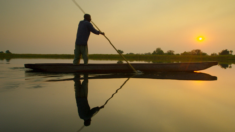 Into the Okavango still 2