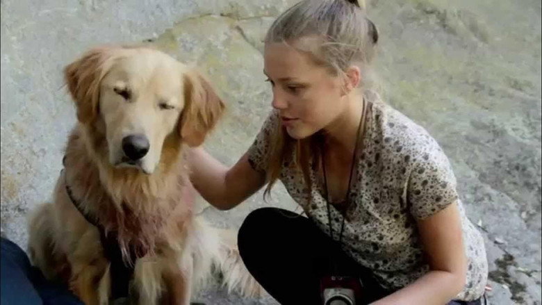 Army Dog still 2