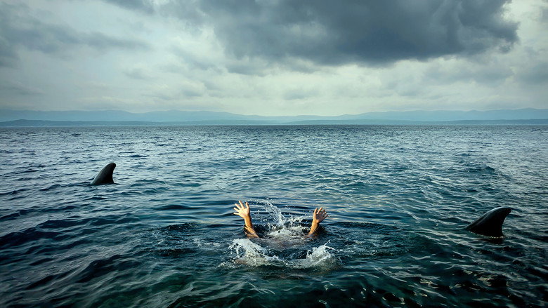 Open Water still 4