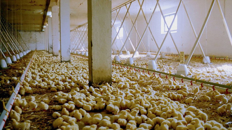 We Feed the World still 1