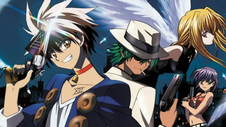 Black Cat still 3