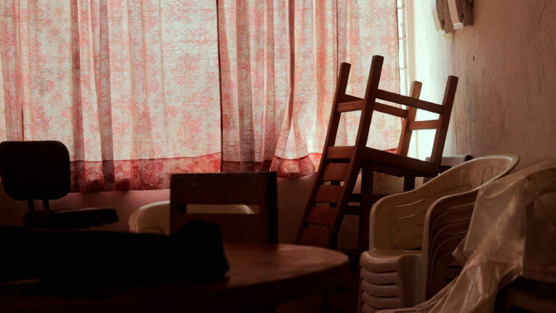 Se Siembran Flores still 1